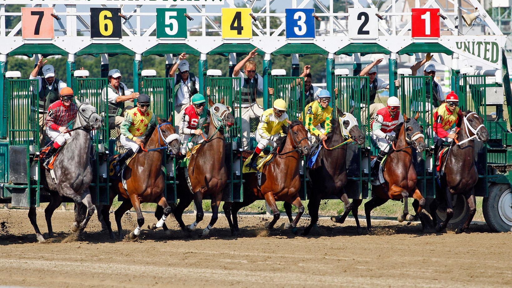 Free Horse Racing Videos Online